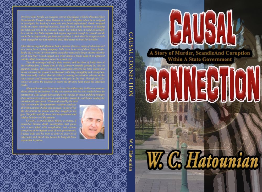 Causal Connection Book Cover